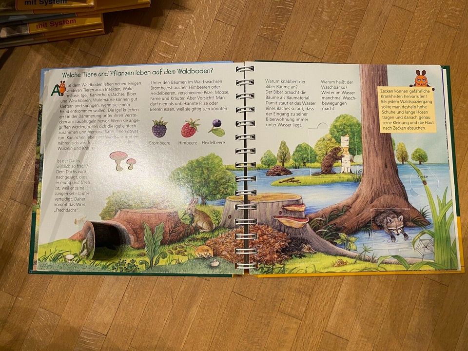 Kinderbuch im Wald mit Klappen und Fenstern in Mainz