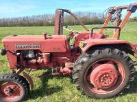 Traktor Mc Cormick Farmall D 324 Hansestadt Demmin - Altentreptow Vorschau