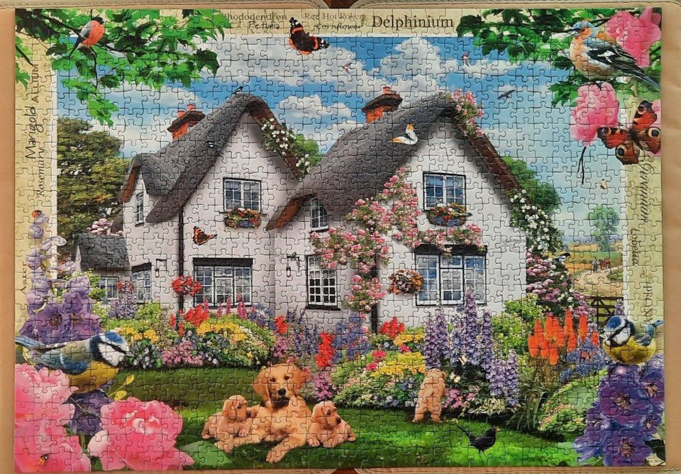 Puzzle Ravensburger 1000 Teile Country Collection Delphinium Cott in Rosbach (v d Höhe)