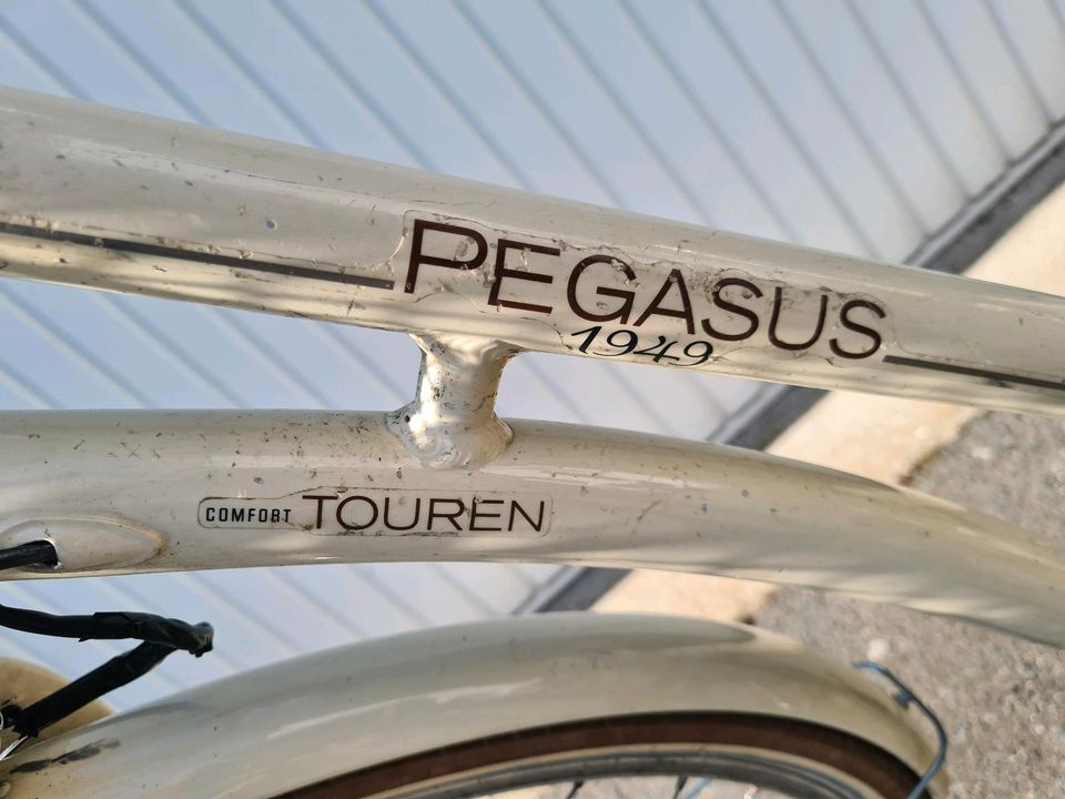 Pegasus Damen Fahrrad! in Offenbach