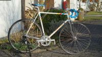 DANCELLI Paris- Roubaix RH 58 cm (C-T) Bayern - Colmberg Vorschau