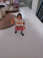 WWF Rowdy Roddy Piper Figur Nordrhein-Westfalen - Castrop-Rauxel Vorschau