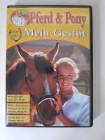PC-Spiel "Pferd & Pony - Mein Gestüt" Niedersachsen - Söhlde Vorschau