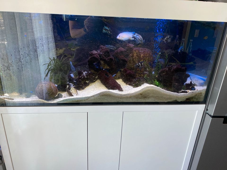 Aquarium 300 l mit Fische, Schrank +Deko und Eheim Filter in Bayerbach b Ergoldsbach