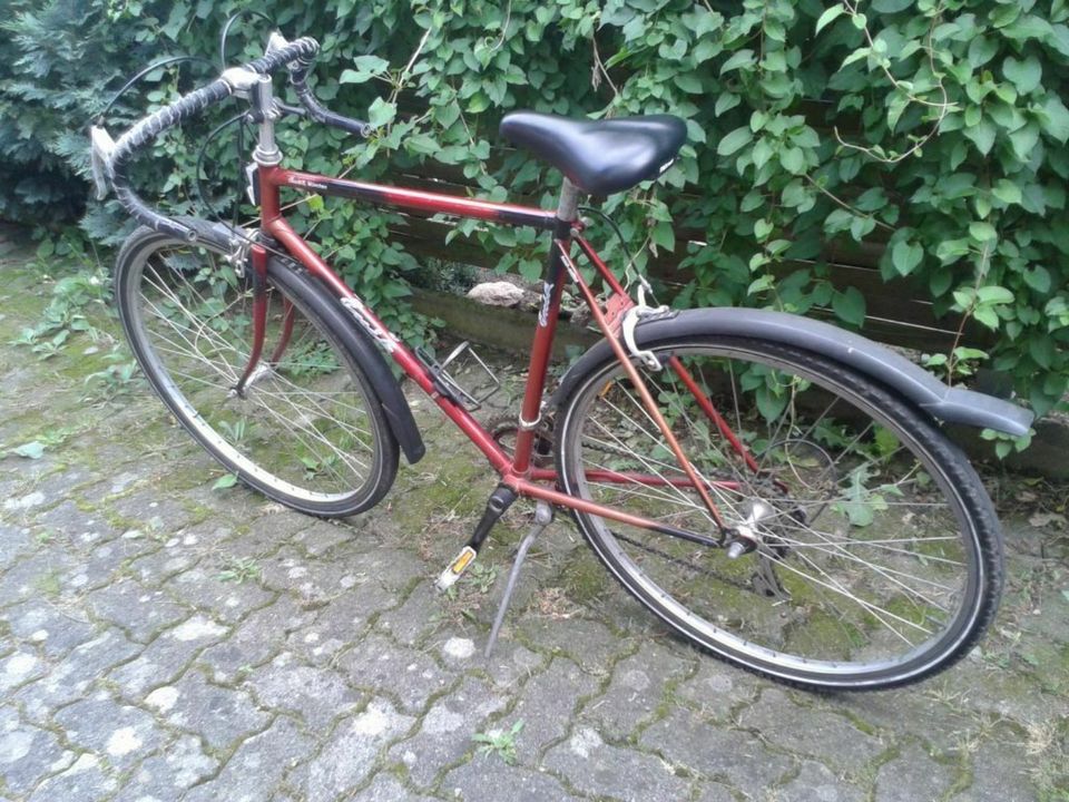Schickes, rotes classic Rennrad, 28 Zoll, Rahmenhöhe 57cm, Damen in Geschendorf