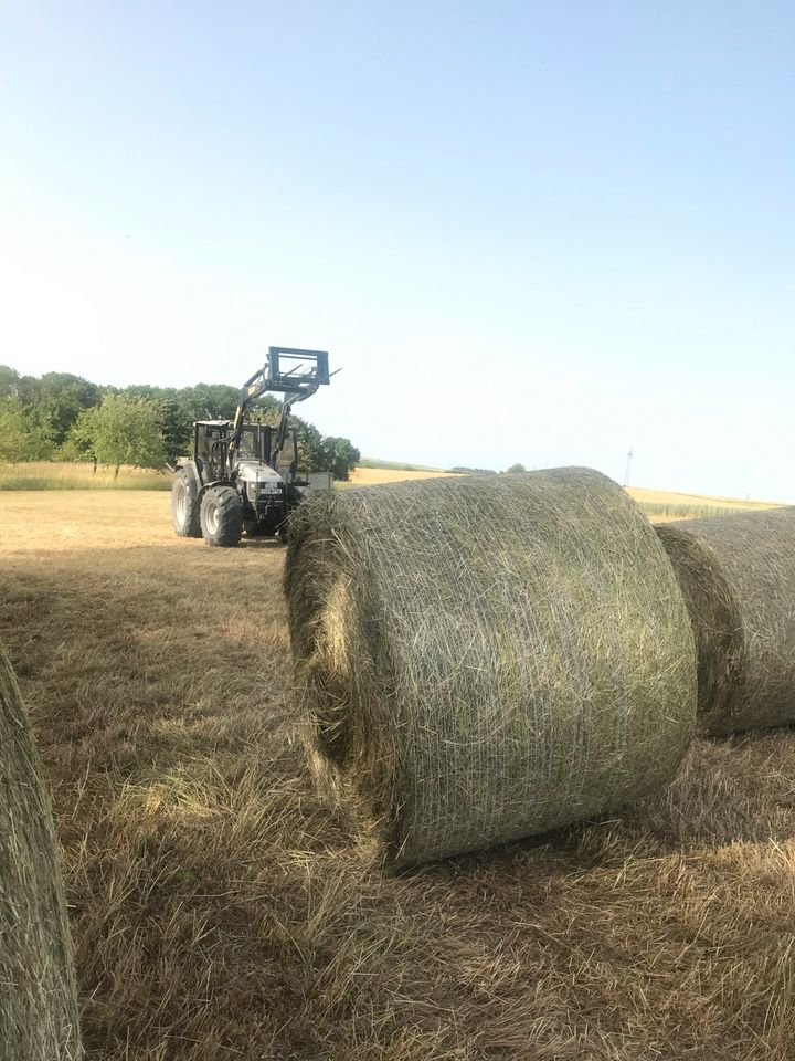 Heu 1.Schnitt 2023 Rundballen 160cm in Theilheim