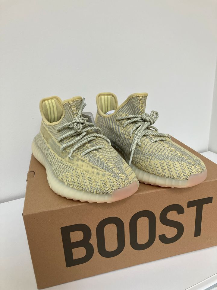 Adidas Yeezy Boost 350 V2 Antila in Halle