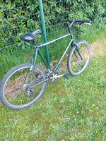 Fahrrad 28 groß Niedersachsen - Oldenburg Vorschau