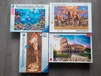 4 schöne Puzzles Köln - Weidenpesch Vorschau