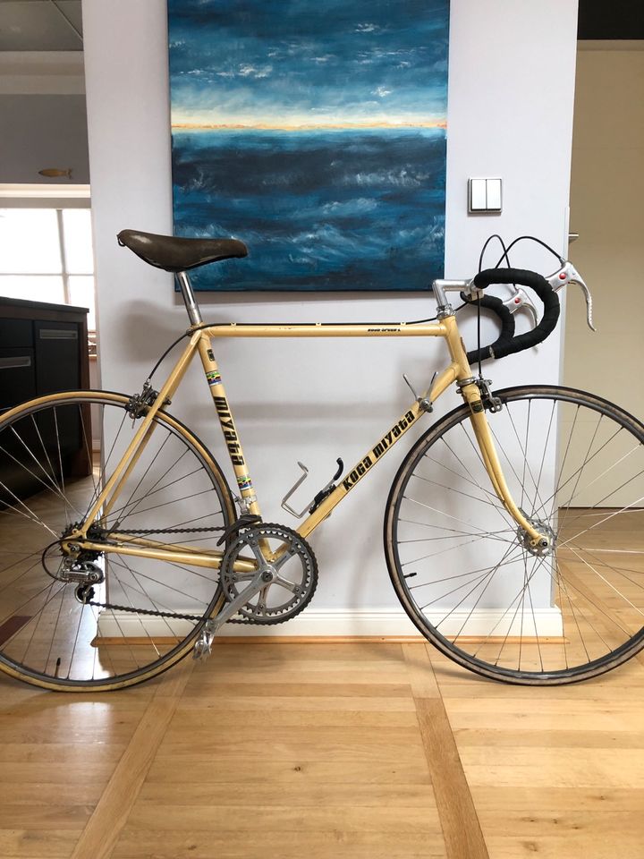 Koga Miyata  Road Speed, Rennrad, Rahmen 56cm Vintage in Eckernförde