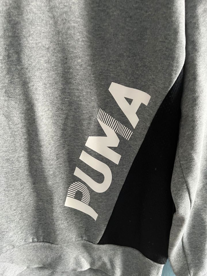 Herrenpullover Puma in Wesel