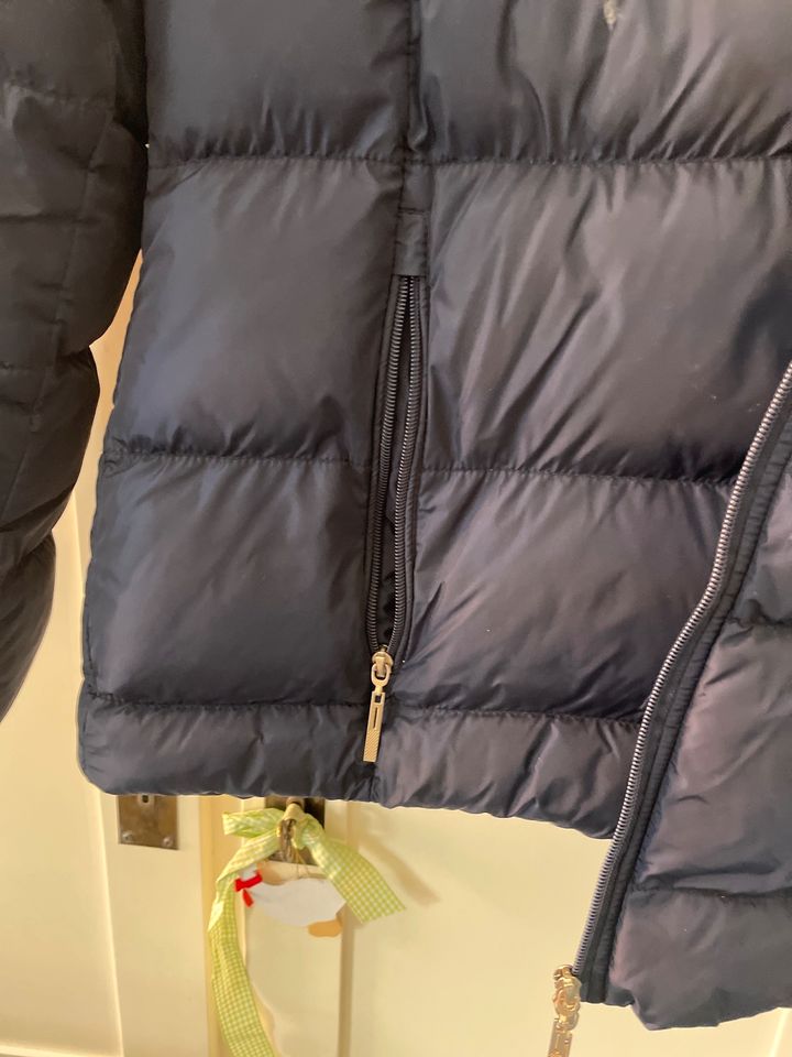 Reitjacke Cheval de Luxe blau Gr. XL 42-44 + Tasse + Porto gratis in Herbertingen