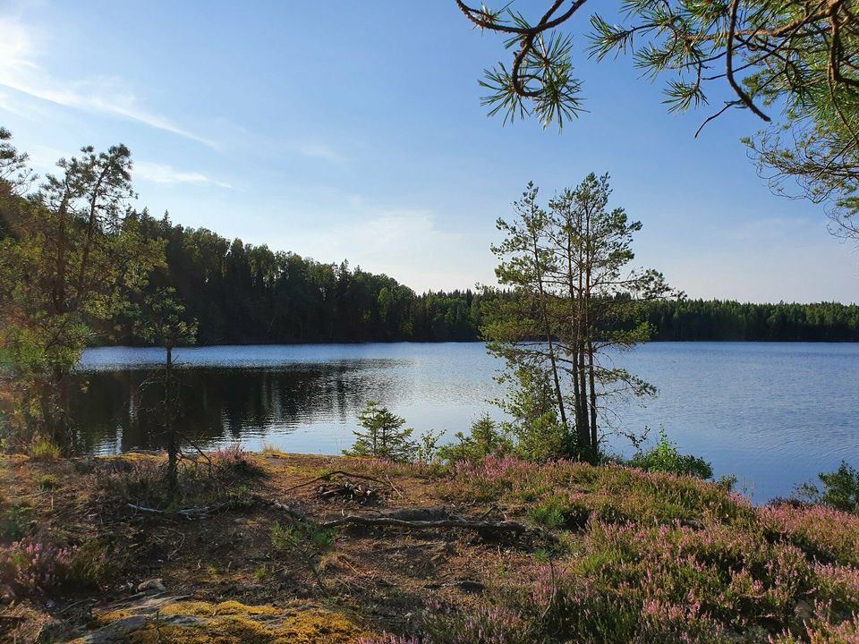 Ferienhaus Trollebod Schweden Värmland im KanuparadiesDalsland 4P in Dauchingen