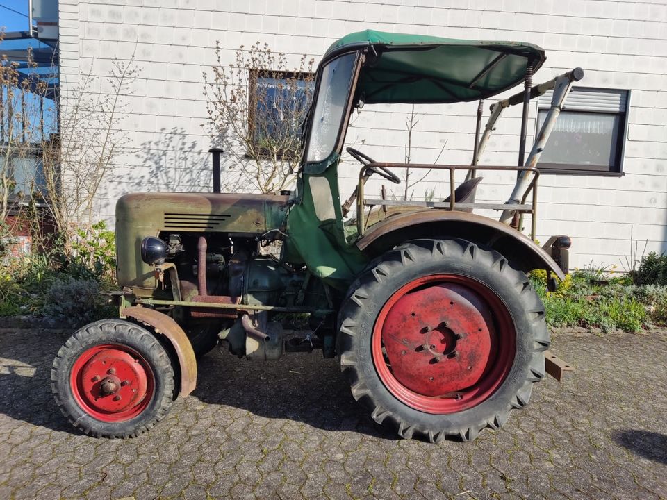 Fendt Dieselross F17 W in Kinheim