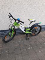 Kinderfahrrad Kinder Fahrrad 20 Zoll Zodiac Ks 6 Gang Hessen - Hohenahr Vorschau