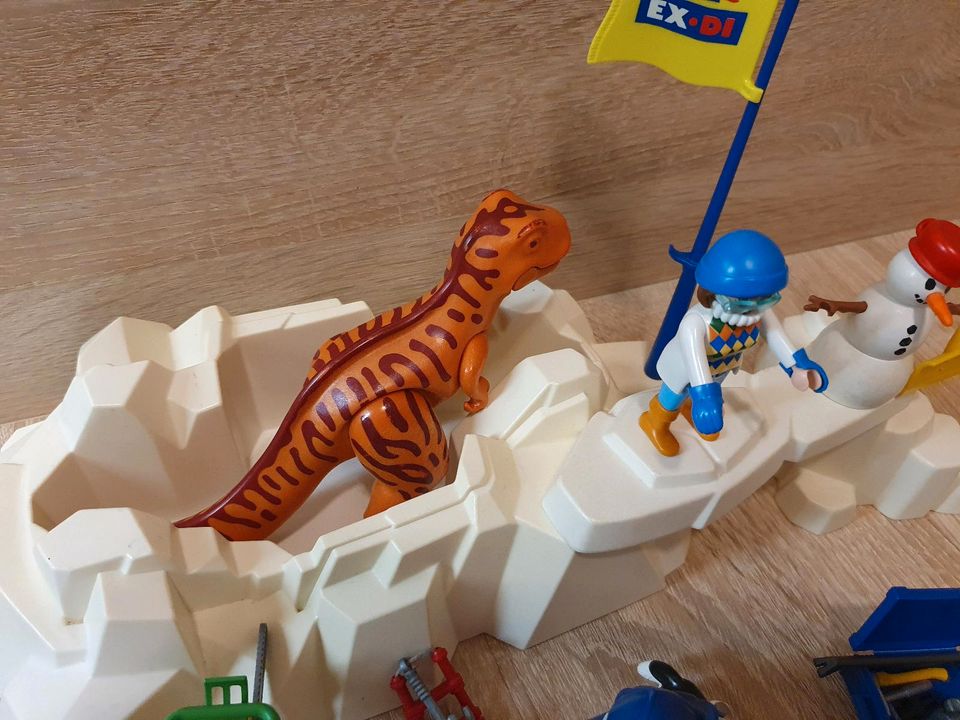 Playmobil Dino + Dinoei im Eisberg 3170 in Sonthofen