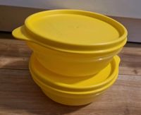 Tupperware 300ml Schüsseln mit Deckel Bayern - Thierhaupten Vorschau