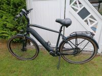 Herren E-Bike Mecklenburg-Vorpommern - Wismar Vorschau