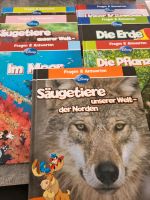 Sachbücher Disney Baden-Württemberg - Sonnenbühl Vorschau