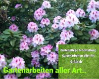 Gartenarbeiten aller Art... Heckenschnitt , Gartenpflege Niedersachsen - Westerstede Vorschau