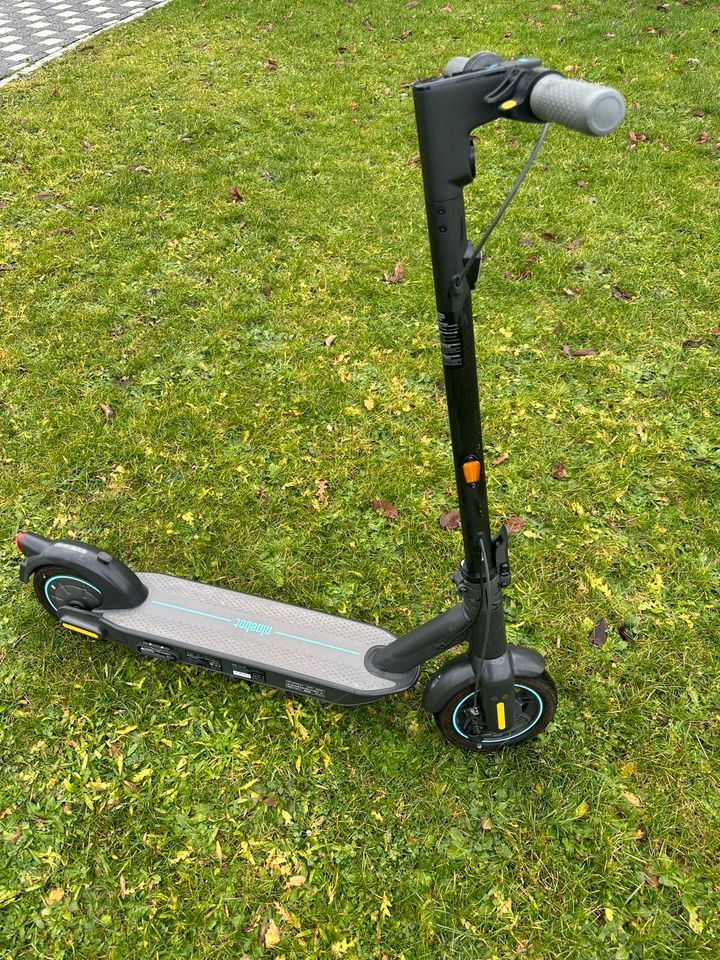 E-Scooter Ninebot in Langweid am Lech