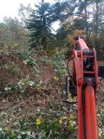 Hecken/Sträucher/Brombeeren/Gehölz schneiden Brandenburg - Bad Belzig Vorschau