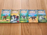 Verkaufe Ponyhof Apfelblüte Bücher 6-Set Düsseldorf - Bilk Vorschau