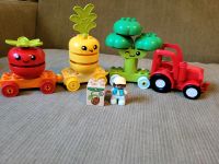 LEGO DUPLO My First 10982 Obst- und Gemüse Traktor Schleswig-Holstein - Rendsburg Vorschau