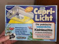 Aquarium Lampe Capri Licht Hessen - Frielendorf Vorschau