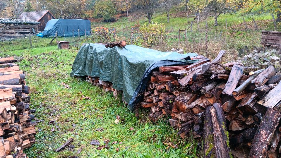 Brennholz auf 1m gespalten in Bad Bocklet