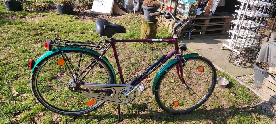 28" Diamant Herrenfahrrad in Bruchhausen-Vilsen