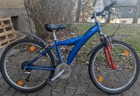 Fahrrad in sehr gutem Zustand 26 Zoll Hessen - Bad Wildungen Vorschau