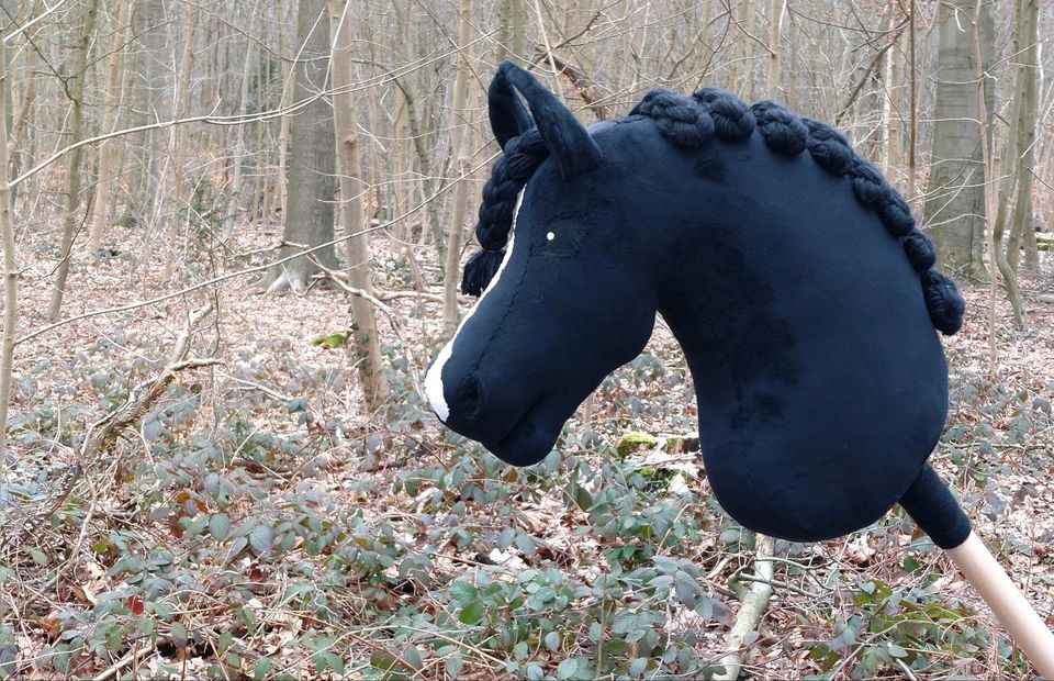 ♡Hobby Horses suchen ein schönes neues Zuhause♡ in Hannover