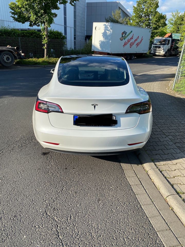 Tesla Model 3 / Unicorn // 60kWh // 325ps in Dietzenbach