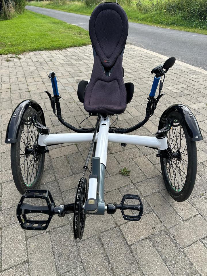 HP Velotechnik Scorpion fx 20 faltbar grau/weiss E-Trike Bionx in Bad Laer