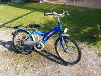 Kinderfahrrad von Panther 20 zoll Hessen - Ebersburg Vorschau