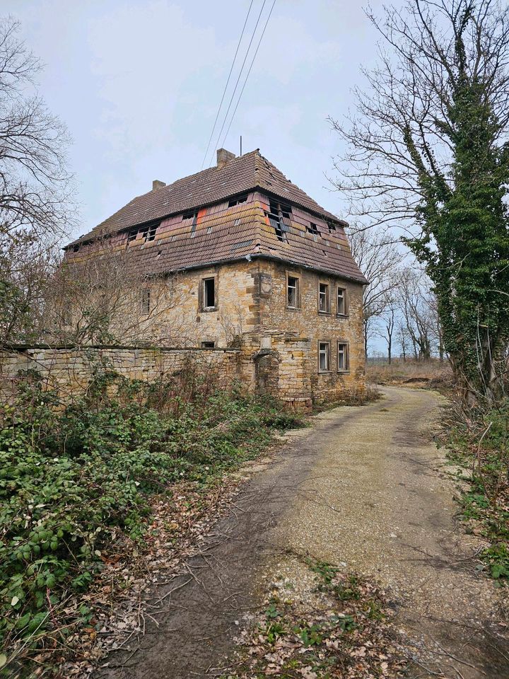 Herrenhaus mit Grundstück (700 - 3000 Quadratmeter möglich) in Teutschenthal