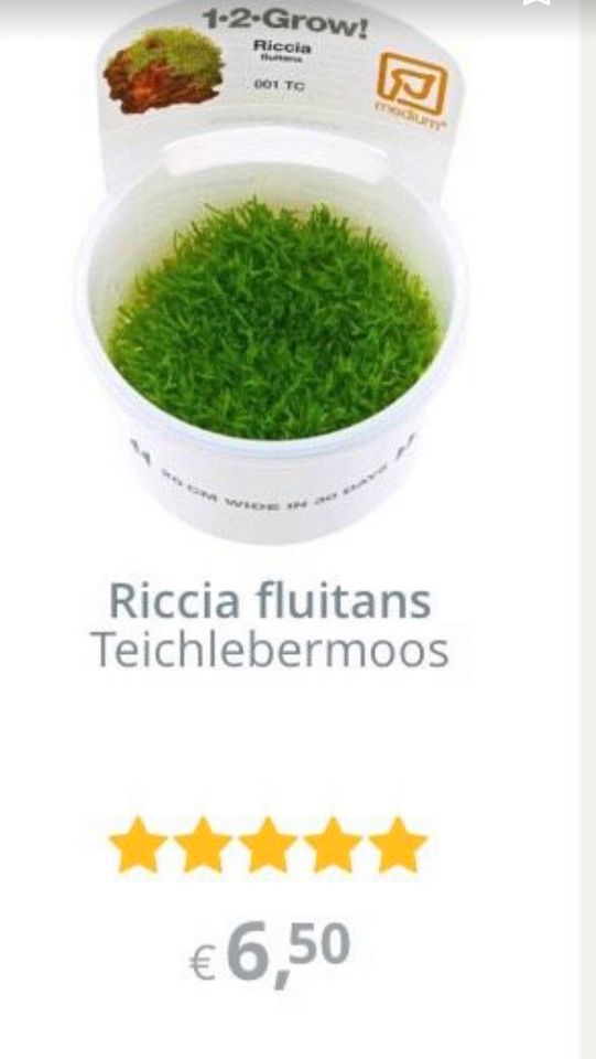 ⭕️ 3€ 1  Becher voll Riccia fluitans Teichlebermoos in Hannover