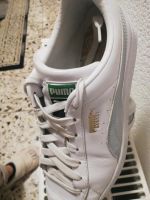 Puma Turnschuh Nordrhein-Westfalen - Troisdorf Vorschau