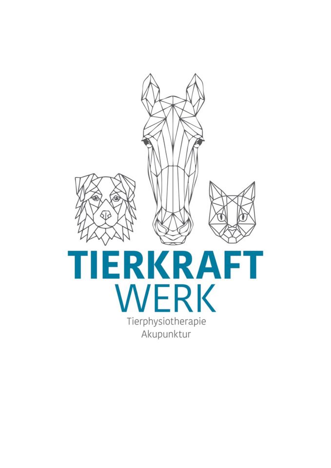 Tierphysiotherapie Hannover Podbi - Tierkraftwerk in Hannover