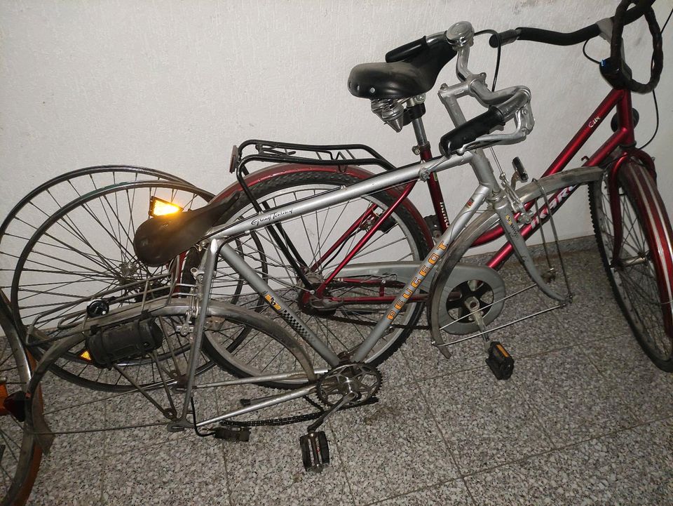 Peugeot Fahrrad in Bonn