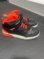 Geox Schuhe 38 Nordrhein-Westfalen - Dorsten Vorschau