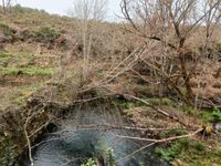 2,7 ha mit einem natürlichen Teich und Bach im Zentralportugal München - Trudering-Riem Vorschau