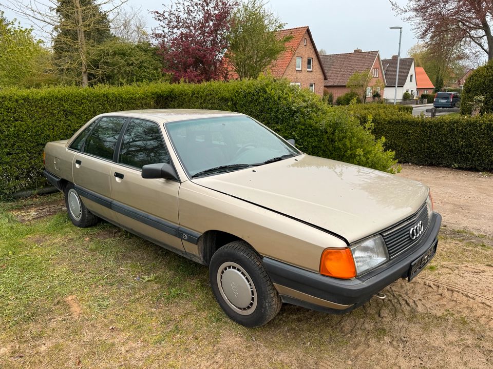 Audi 100 Typ 44 in Oldenburg in Holstein
