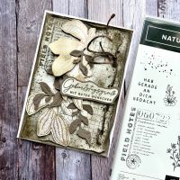 Karte mit Set & Stanzformen Naturbotschaften Stampin' Up! Hessen - Dieburg Vorschau