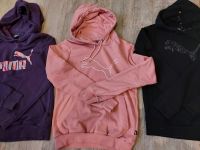 3 PUMA HOODIE GR. S ab 22€ Sachsen-Anhalt - Gatersleben Vorschau