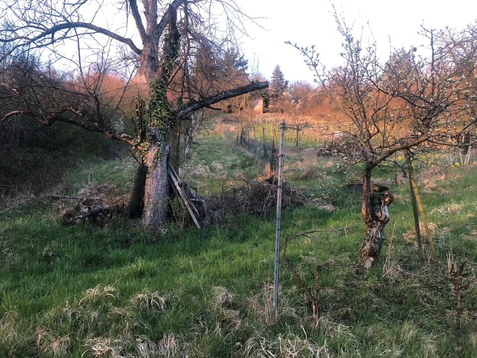 Grundstück Gartengrundstück zwischen Schorndorf und Winterbach in Göppingen