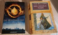 Die Bestimmung und Der Engelsturm - Fantasy Nordfriesland - Rantrum Vorschau