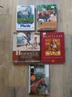 Pferde Bücher • MAXI Paket o. einzeln • Reitsportaufgabe Hessen - Freiensteinau Vorschau