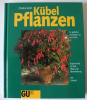 Kübelpflanzen, Christine Recht, So gedeihen und blühen sie am bes Rheinland-Pfalz - Neustadt an der Weinstraße Vorschau